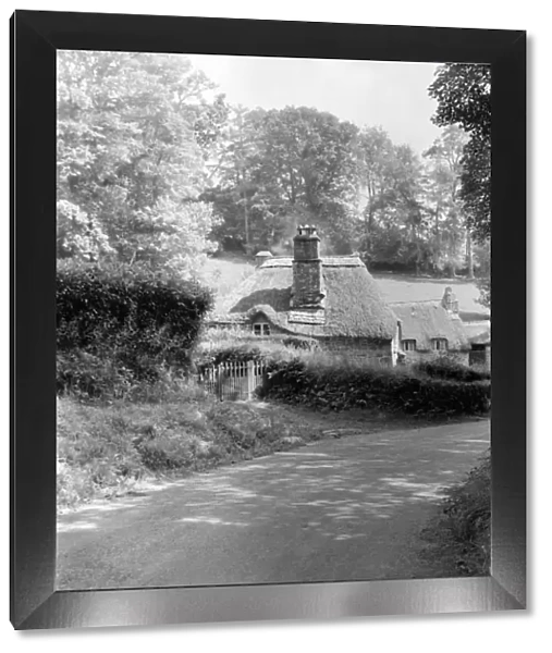 Thatched cottage, Devon