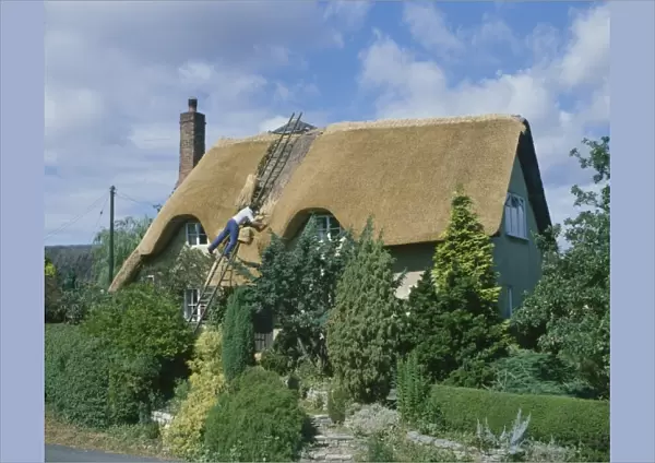 Thatching a Cottage