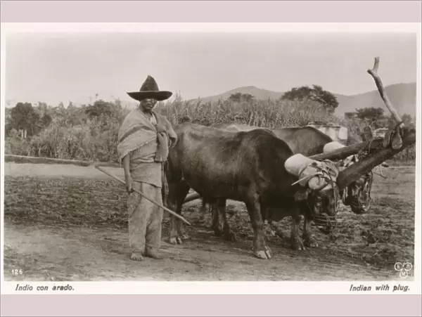 Mexican farmer with his ox-pulled plough