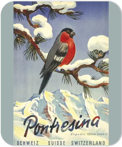 Poster advertising Pontresina in Switzerland