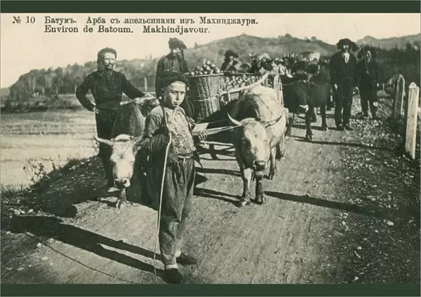 Georgia - Batumi - Farmers