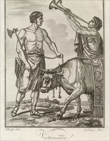 Roman Bull Sacrificed