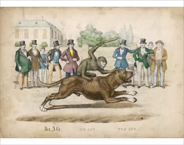 Monkey Rides a Dog  /  1845