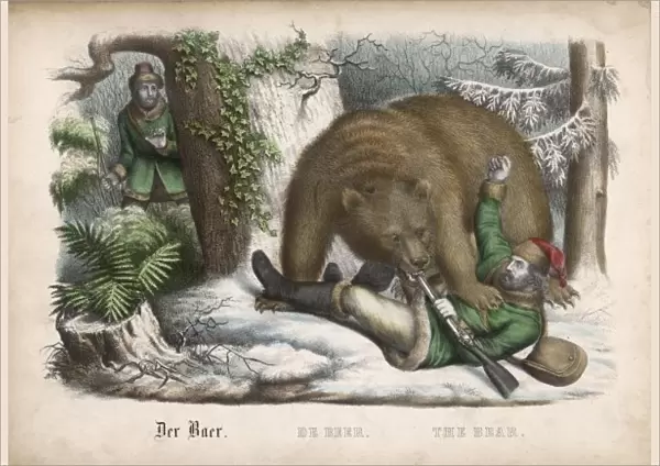 Bear  /  The Hunter Hunted