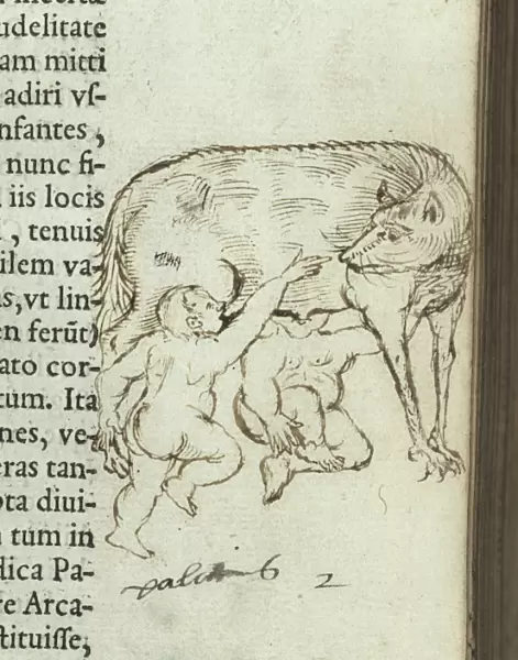 Romulus and Remus being suckled by Lupa