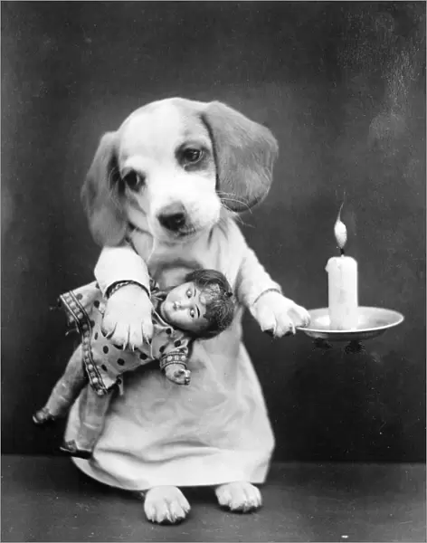 Beagle Puppy with Candle