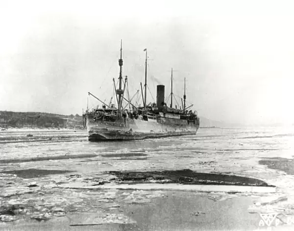 USAT Logan arriving at Vladivostok, Russian Civil War