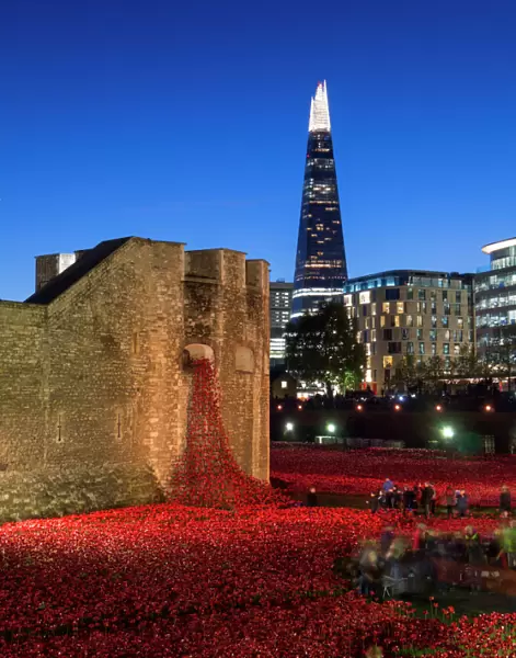 Ceramic poppies forming the installation Blood Swept Lands and Seas of Red to remember the Dead of the First World War, Tower of London at dusk, London, England, United Kingdom, Europe