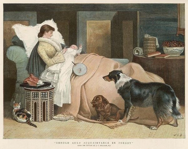 Baby  /  Neglected Pets 1888