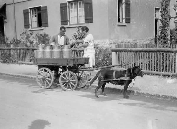 Black Forest Milk Cart
