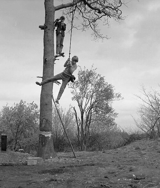 Two boys climbing a tree
