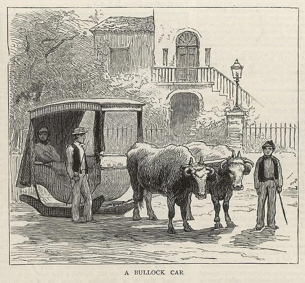 A Bullock Car