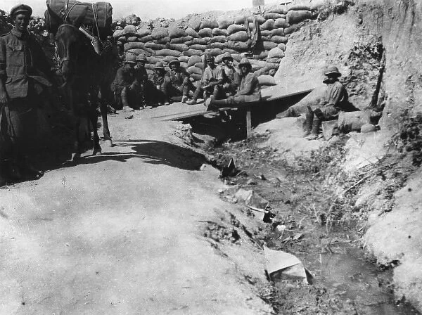 Communications trench at Gallipoli WWI