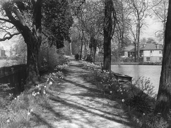 Enfield River Path