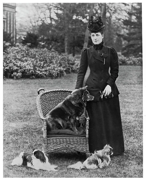 Fall  /  Queen Alexandra  /  Dog