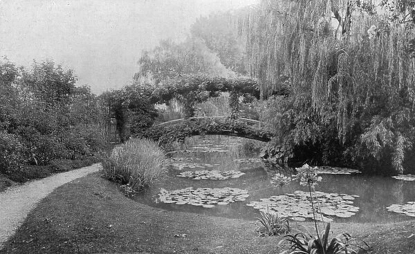Garden  /  Giverny 1927