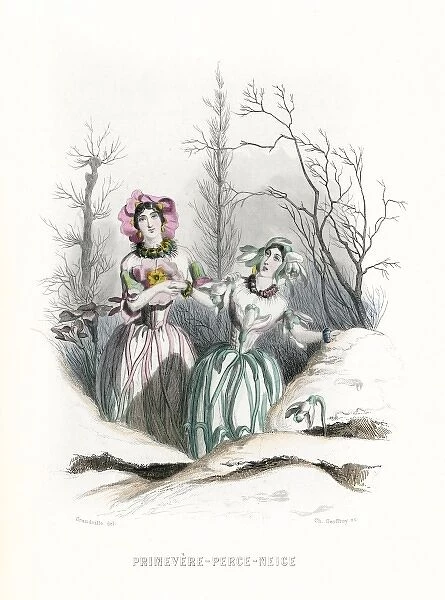 Grandville Snowdrop 1847
