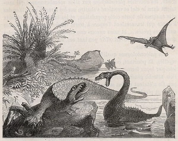 Ichthyosaurus, with Plesiosaur and Pterodactyls