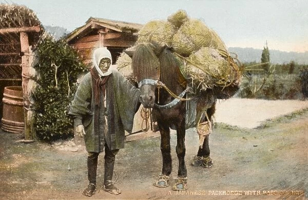 Japanese packhorse with bags of rice