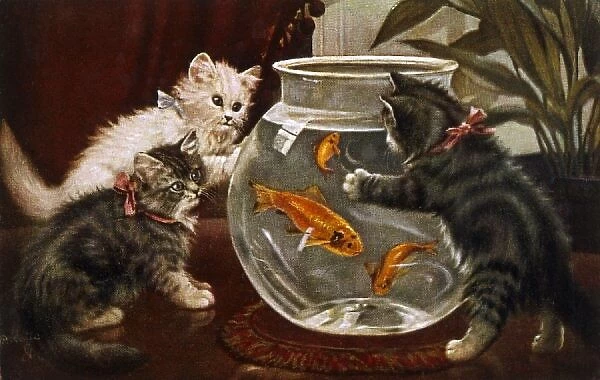 Kittens & Goldfish Bowl
