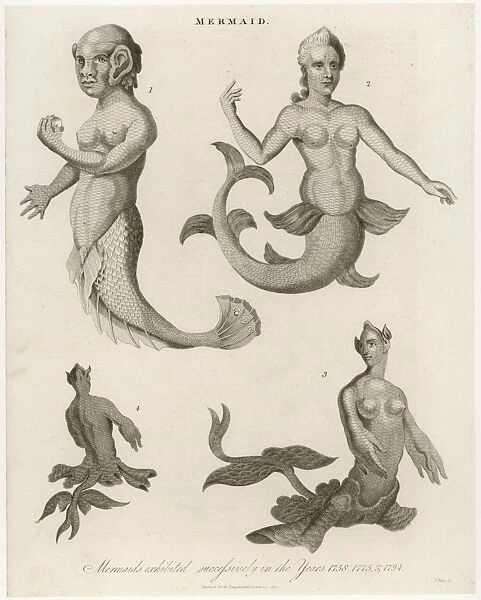 Mermaids in London