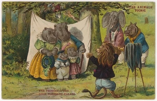 Photo of Hippo Family