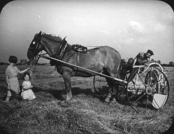 Ploughing with Horse