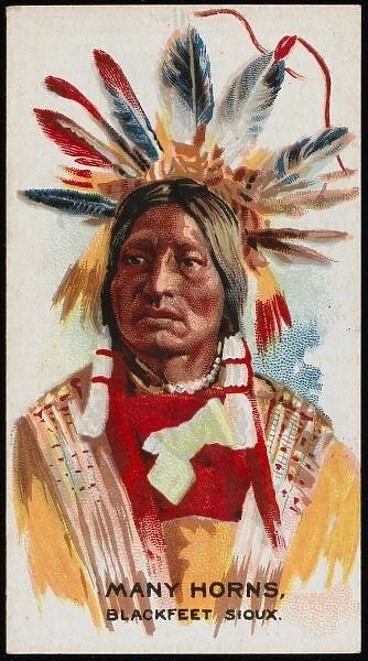 Racial  /  Many Horns  /  Sioux