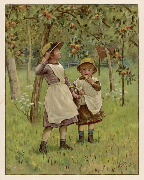 Young Apple Pickers