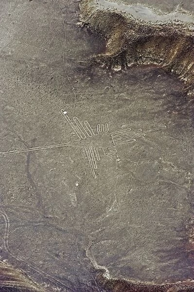 Hummingbird, Lines and Geoglyphs of Nasca, UNESCO World Heritage Site, Peru