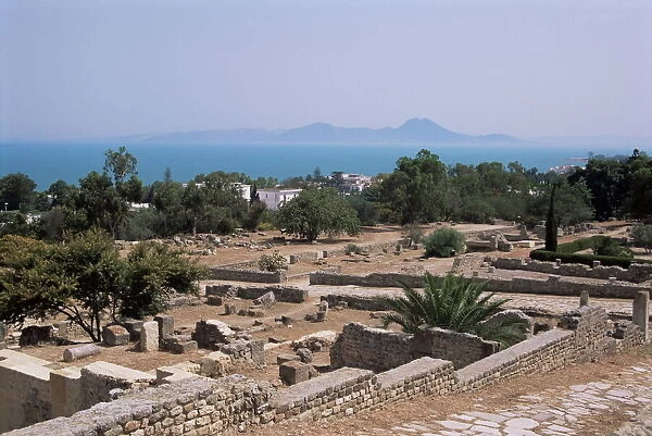 Remains of Roman villas
