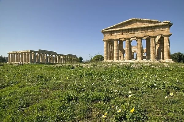 Temple of Hera (Basilica) left