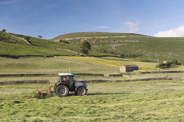 Hurlimann tractor with tedder, turning hay in upland meadow, Muker, Swaledale, Yorkshire Dales N. P