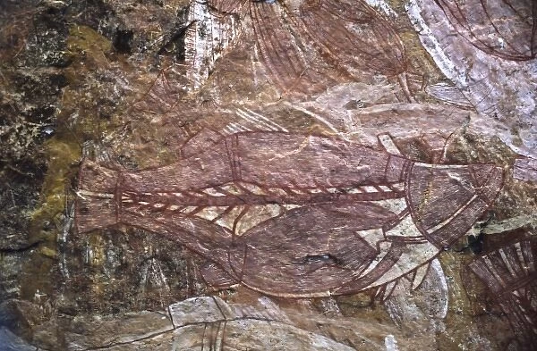 Australia, Northern Territory, Kakadu National Park. An aboriginal cave painting