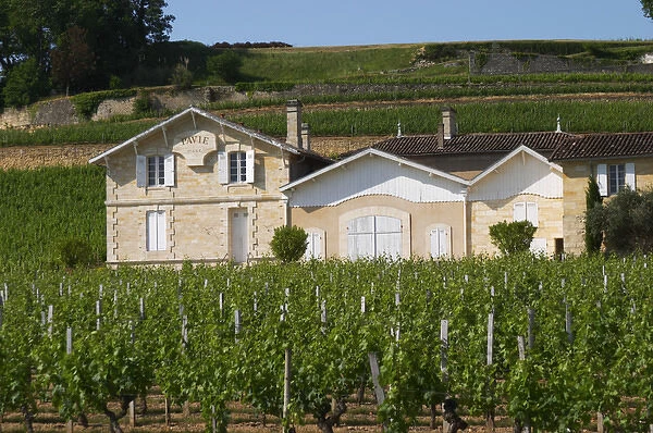 Chateau Pavie 1st, premier first Grand Cru Classe and its vineyards Saint Emilion