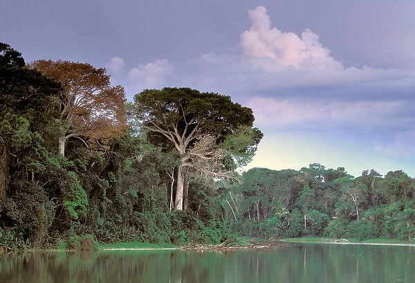 South America, Peru, Manu National Park, Rainforest. Manu river landscape
