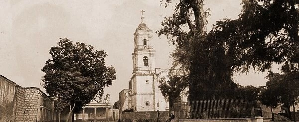 The tree of Noche Triste, Popotla, Jackson, William Henry, 1843-1942, Churches, Historic