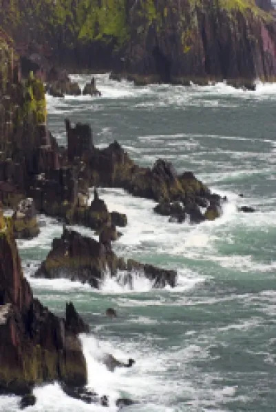 Buy Ireland County Kerry Dingle Peninsula Waves crash against the sheer cliffs of Dingle Bay in the Dingle Peninsula