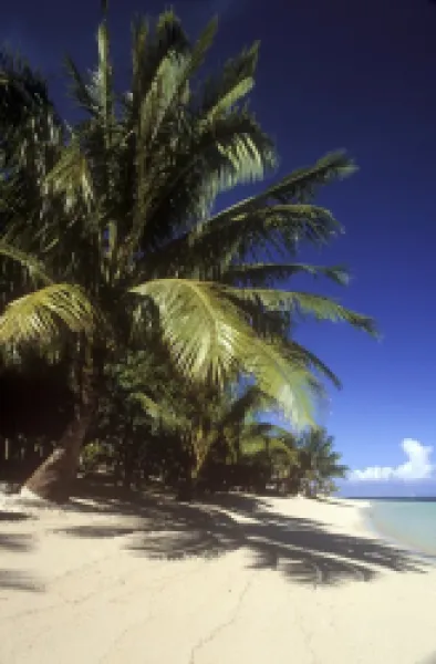 Buy INDEPENDENT SAMOA, Savai'I, Manase Beach
