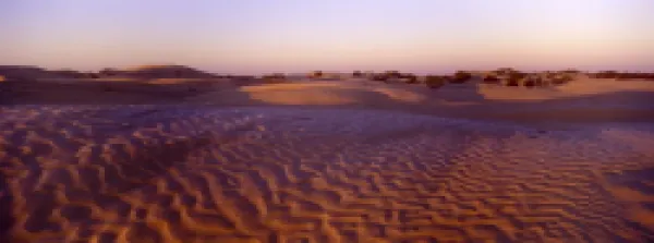 Buy TUNISIA, Zaafrane, Sahara Desert