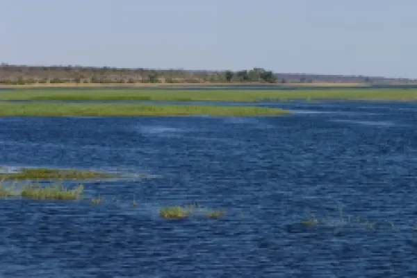 Buy Chobe River
