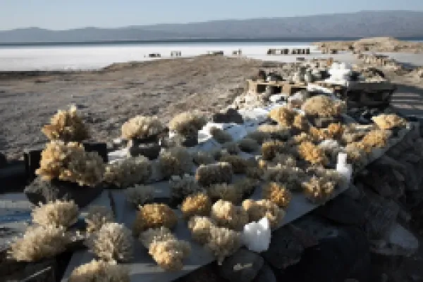 Buy Tourist souvenirs on sale at Lac Assal