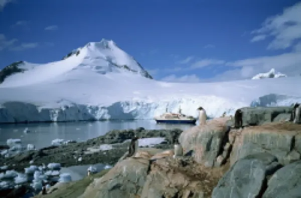 Buy The cruise ship World Discoverer at anchor in Port Lockroy