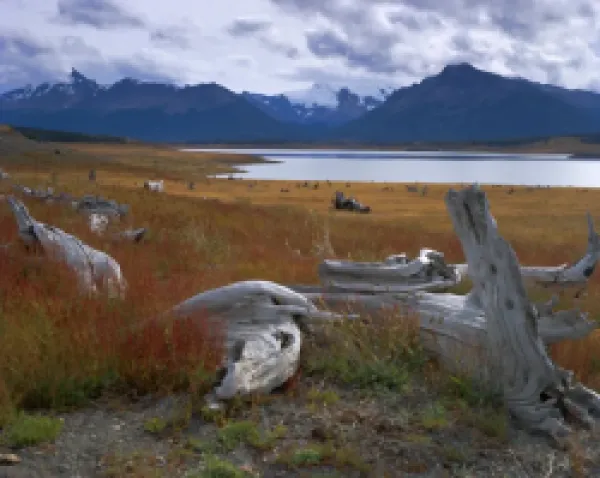 Buy Lake Roca, Calafate Roca National Reserve