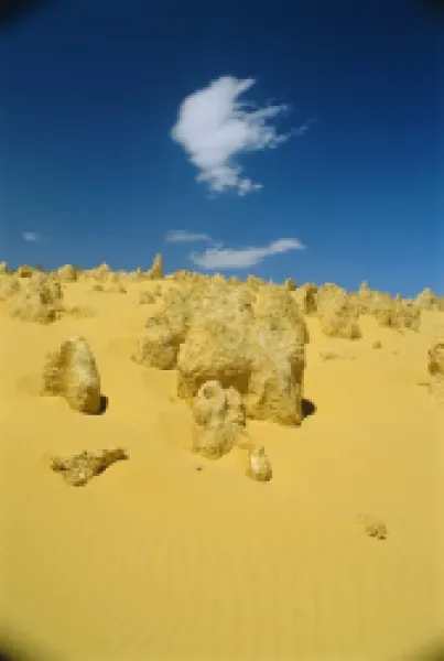 Buy The Pinnacle Desert, Nambung National Park near Perth, Western Australia, Australia
