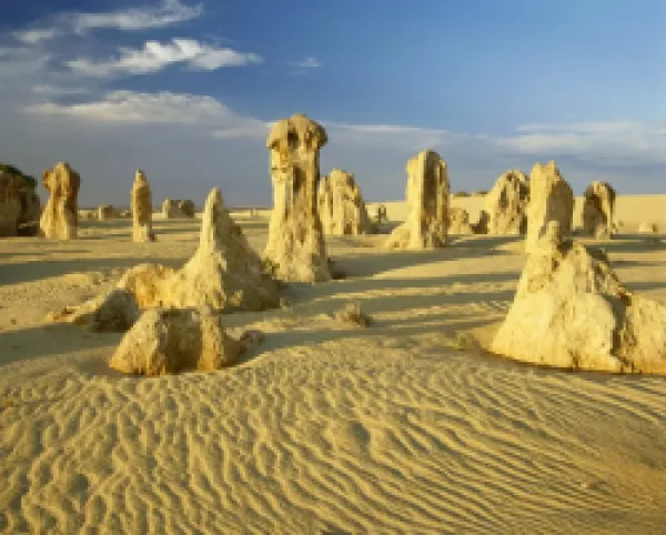 Buy Rock formations in the Pinnacle Desert in Nambung National Park near Perth, Western Australia *** Local Caption