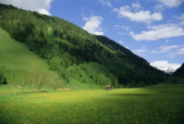 Buy Stubachtal Valley