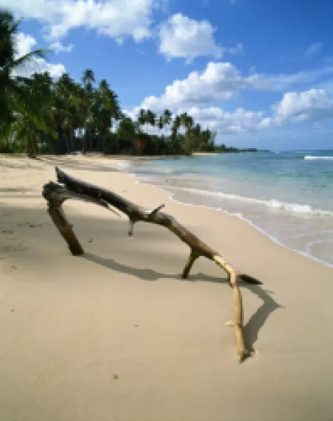 Buy Beach, Barbados