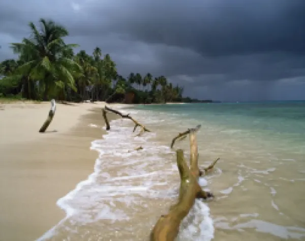 Buy Beach, Barbados
