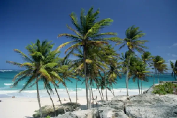 Buy Tropical coastline at Bottom Bay